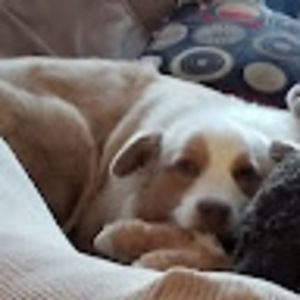 Meet your Posher, Jillian